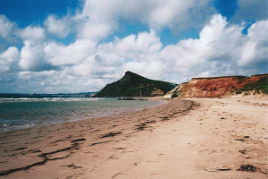 REA les îles plages algues