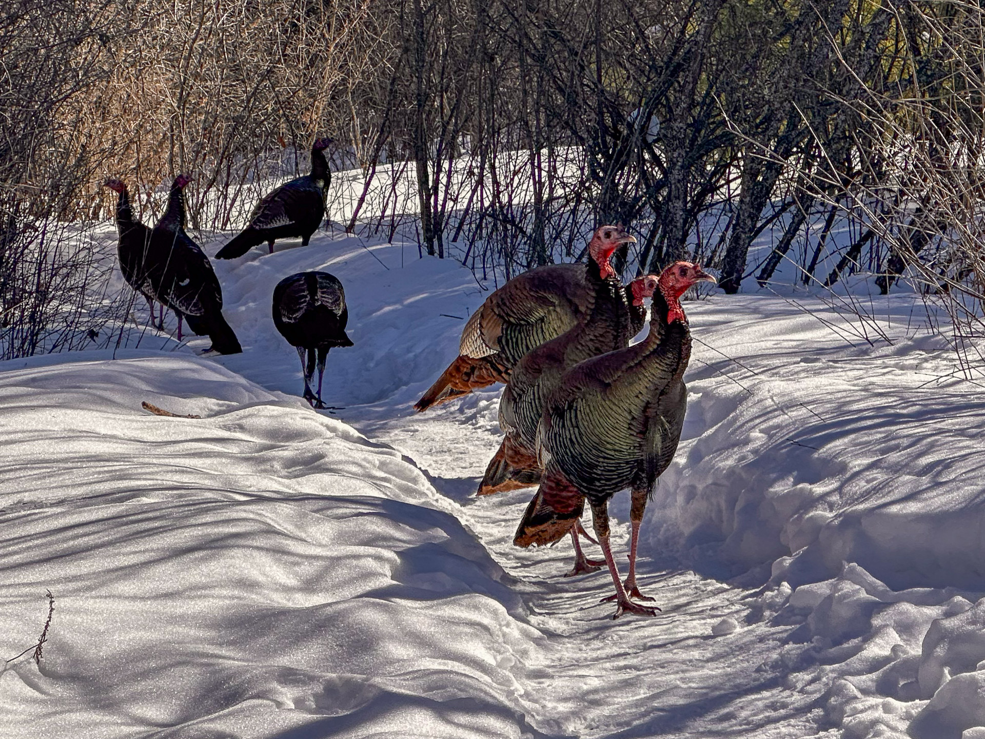 20260219_MudLake_i14_7264