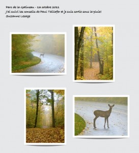 Généralités
