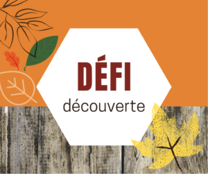 Découvertes