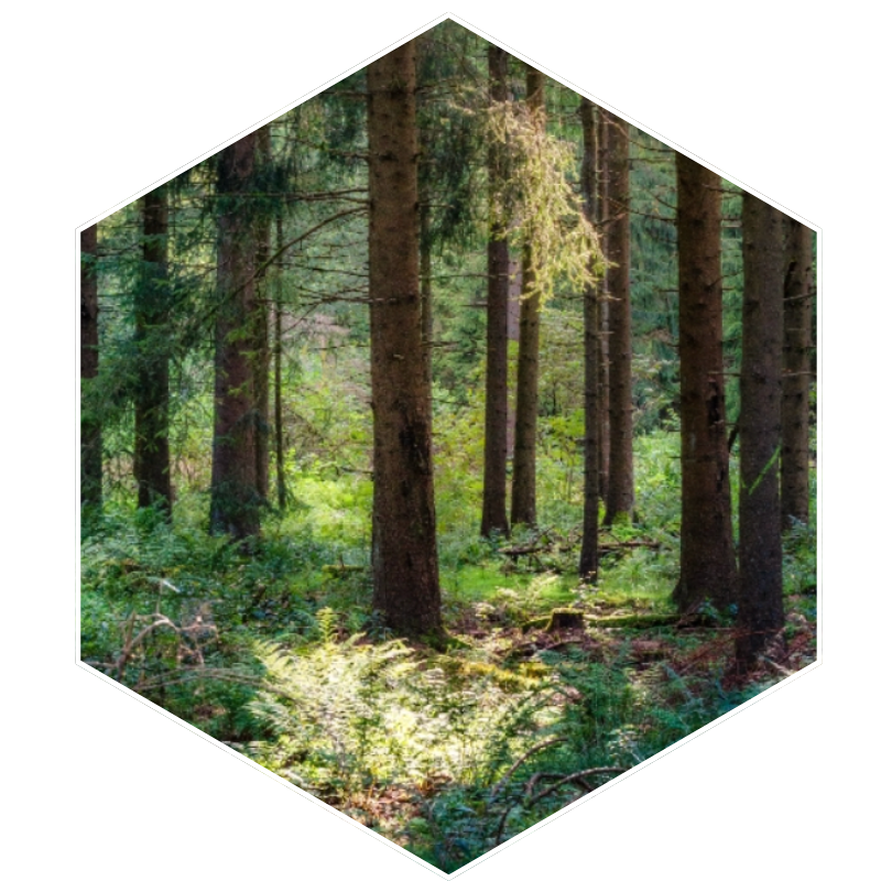 Untitled design (13)